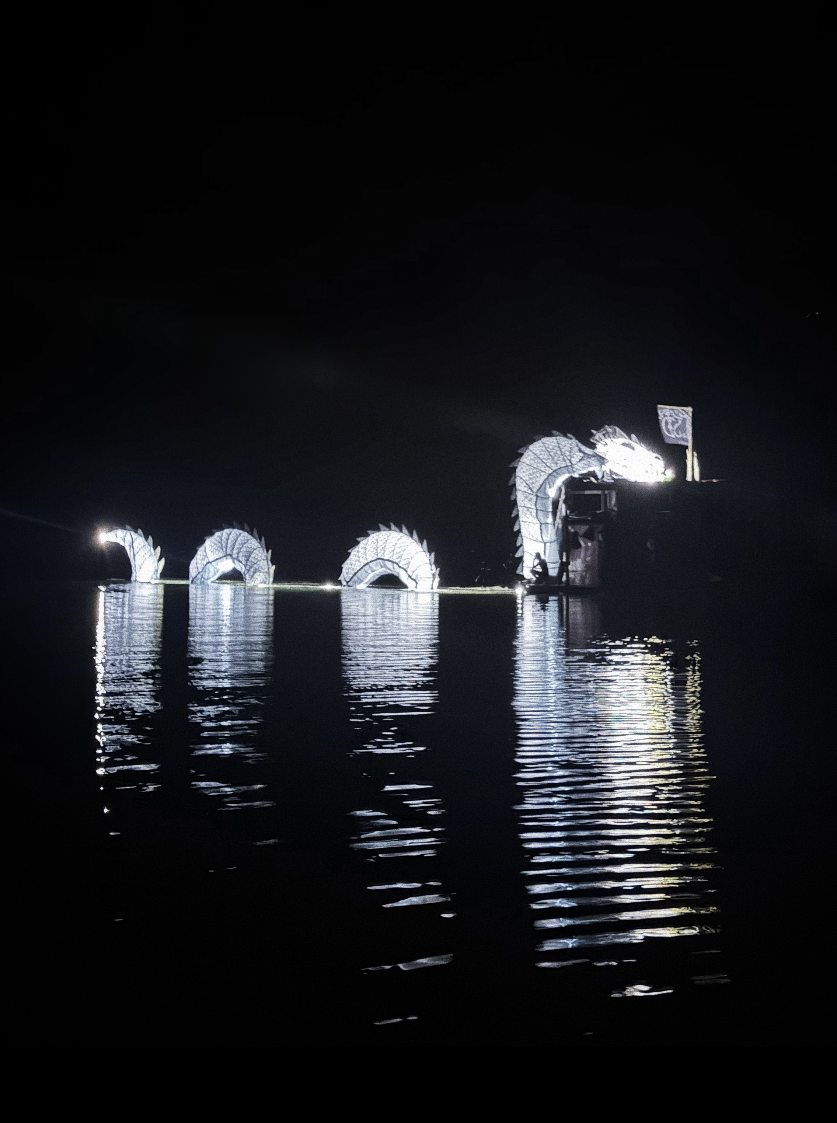 Sculptures lumineuses sur l'eau pendant la nuit